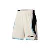 Li-Ning Li Ning Professional Basketball Collection Basketball Suit Men's Mist White AATS001-2