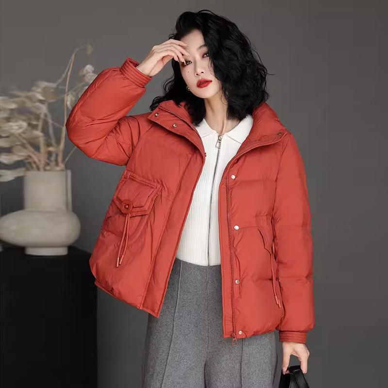Fashion and literary down jacket women's short 2025 winter new white duck down stand-up collar mother's thermal jacket large size