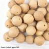 Vajra Star Moon Bodhi Beads - Raw Loose Beads for Handmade DIY Jewelry