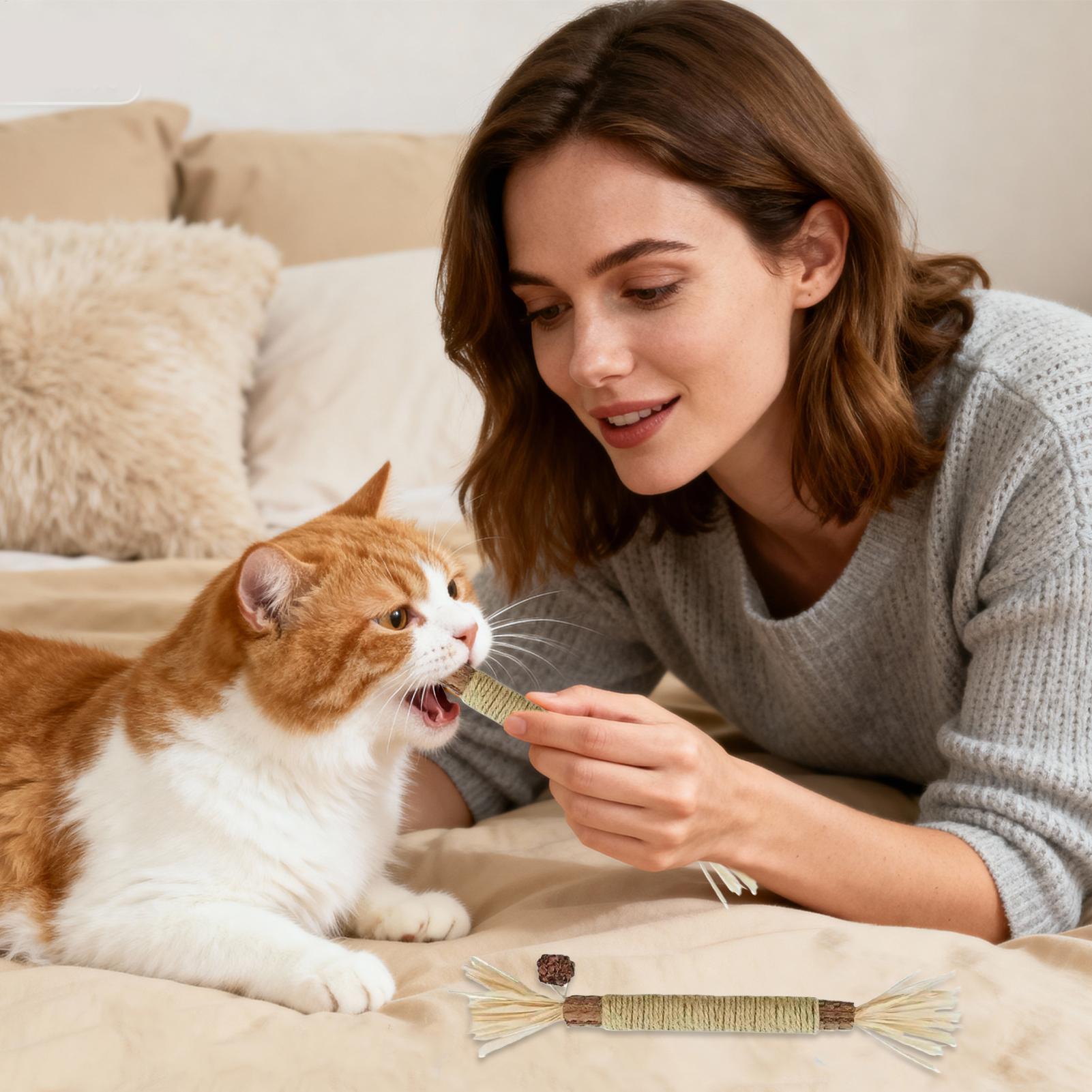 

Cat Silvervine Sticks 5 Piece Natural Chew Catnip Treat Toys Kittens Chew Toys For Teeth Cleaning For Enrichment Pet Supplies China Mainland