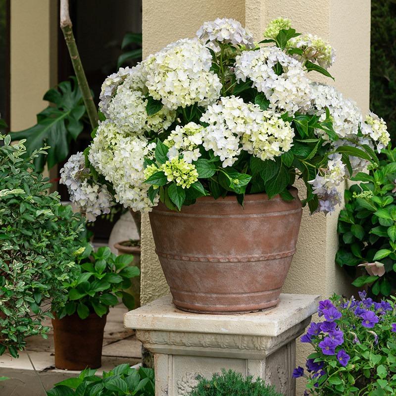 Vaso de Terracota Vintage de Boca Larga, Vaso de Flores Antigo Desgastado para Decoração de Jardim Externo Pátio, Vaso de Jardim Rústico Resistente