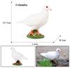 Oenux Forest Bird Animals Wild Ostrich Magpie Owl Crow Flamingos Figurines Action Figure PVC Garden Decoration Miniature Kid Toy