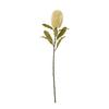 Hill Interiors Banksia Serrata Artificial Flower