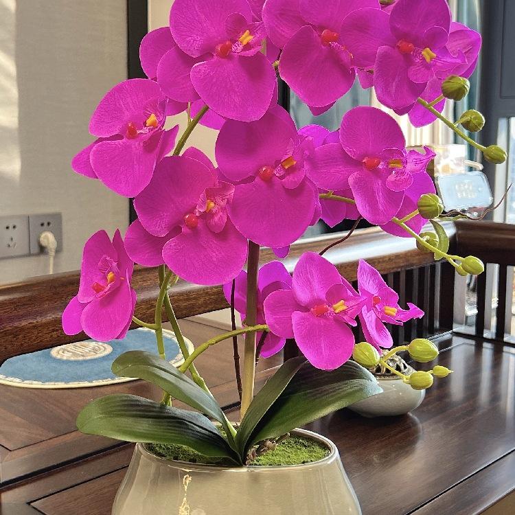 Flori Artificiale Phalaenopsis în Vas Ceramic - Ideal pentru Decorarea Sufrageriei sau a Mesei de Dining