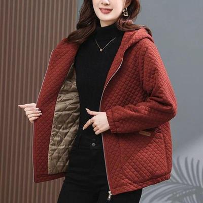 2025 Women's Winter Hooded Cotton Jacket: Stylish & Versatile Maternity Wear for Middle-Aged Temperament