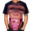 Lässiges Herren 3D Design Parodie Gorilla Lustiges Affen T-Shirt Lustiger Schmollmund Affe 3D Druck Sommer Kurzarmshirt Kinder