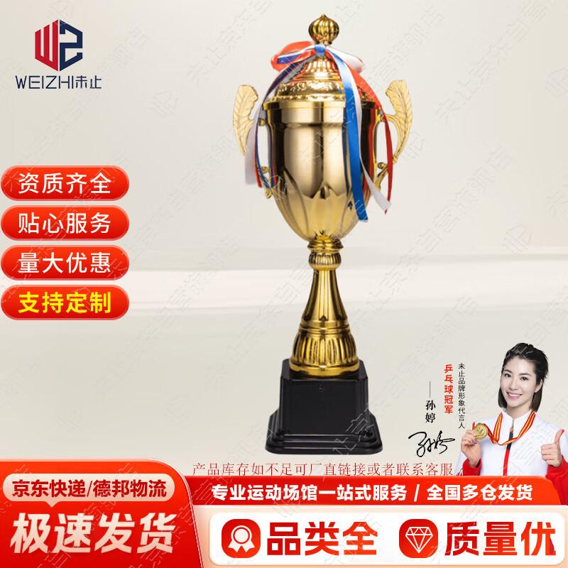 Champion s Sports Award Trophy