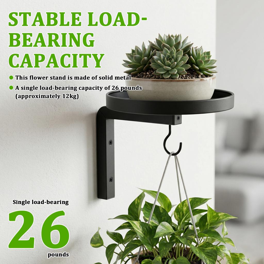 2/3Pcs Wall Plant Holder Set Metal Flower Pot Display Stand with Hook Rustproof Wall Storage Rack for Balcony Living Room Decor