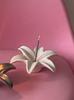 Cute Lily Shape Glass Fragrance Ornament Appearance Girl Pink Flowers Ins Wind Glass Fragrance Ornament