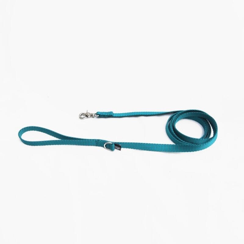

Blue Green Basic Leash