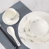 Taixin Xing Ceramic Dinnerware Set