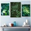 Nature Tropical Palm Leaf Monstera Wall Art Canvas Painting Nordic Posters And Prints Wall Pictures For Living Room Home Decor