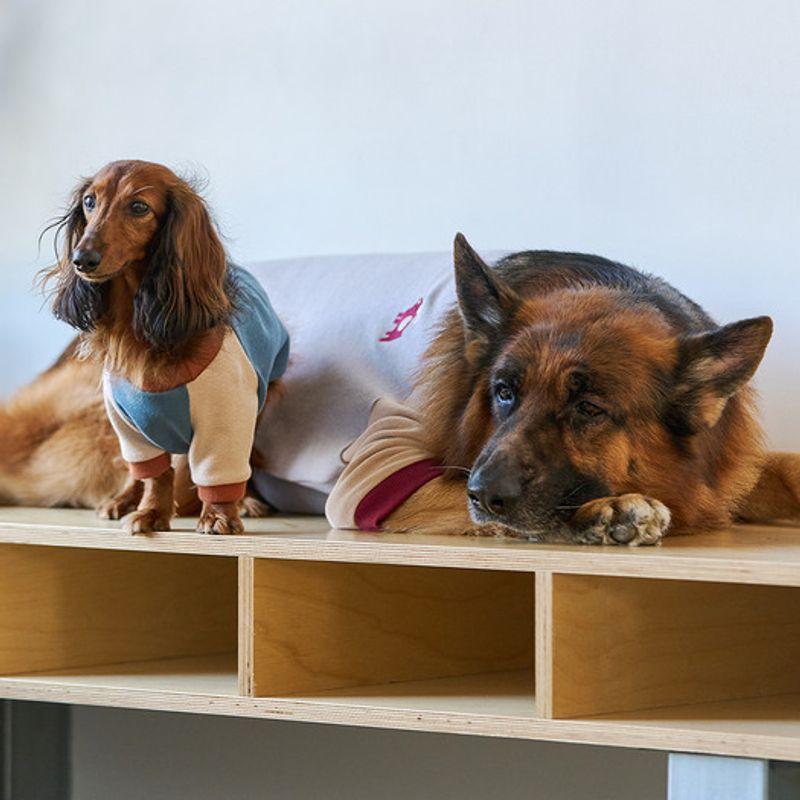 MUNIKUND Ari Pullover - Grau