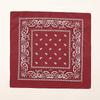 Unisex künstlerisches Seidentuch: Cashew-Amoben-Blumenprint, 54x54 Quadratisch für Street Dance & Dekoration.