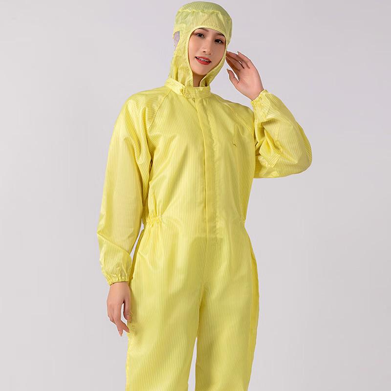 Anti-static Dust-Free Hooded Coverall