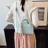 Summer small bag women 2025 new versatile shoulder messenger bag popular portable pillow bag this year