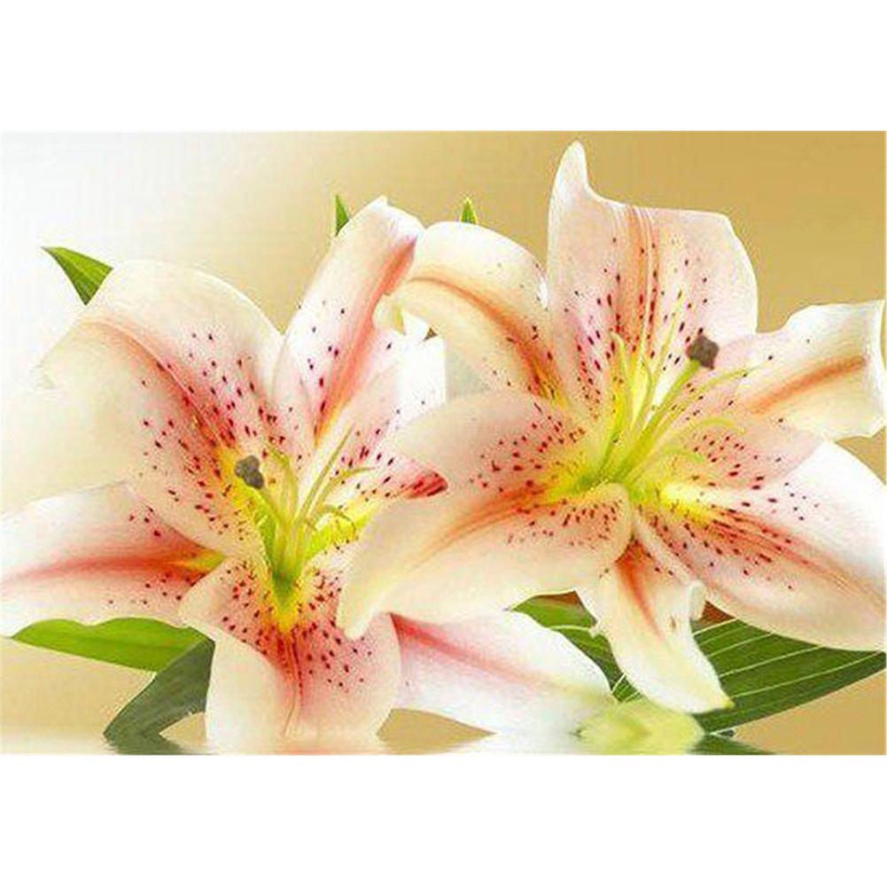 Huacan 5D DIY Full Drill Diamond Painting Flower Cross Stitch Embroidery Craft Kit