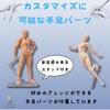 HAPPY SUGAR Drawing Movable Posable Hobby Human Body Drawing Male and Female Set Doll, Figure, Mannequin, Doll, Stand,