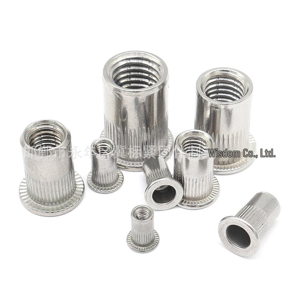 304 Stainless Steel Knurled Flat Head Blind Rivet Nut