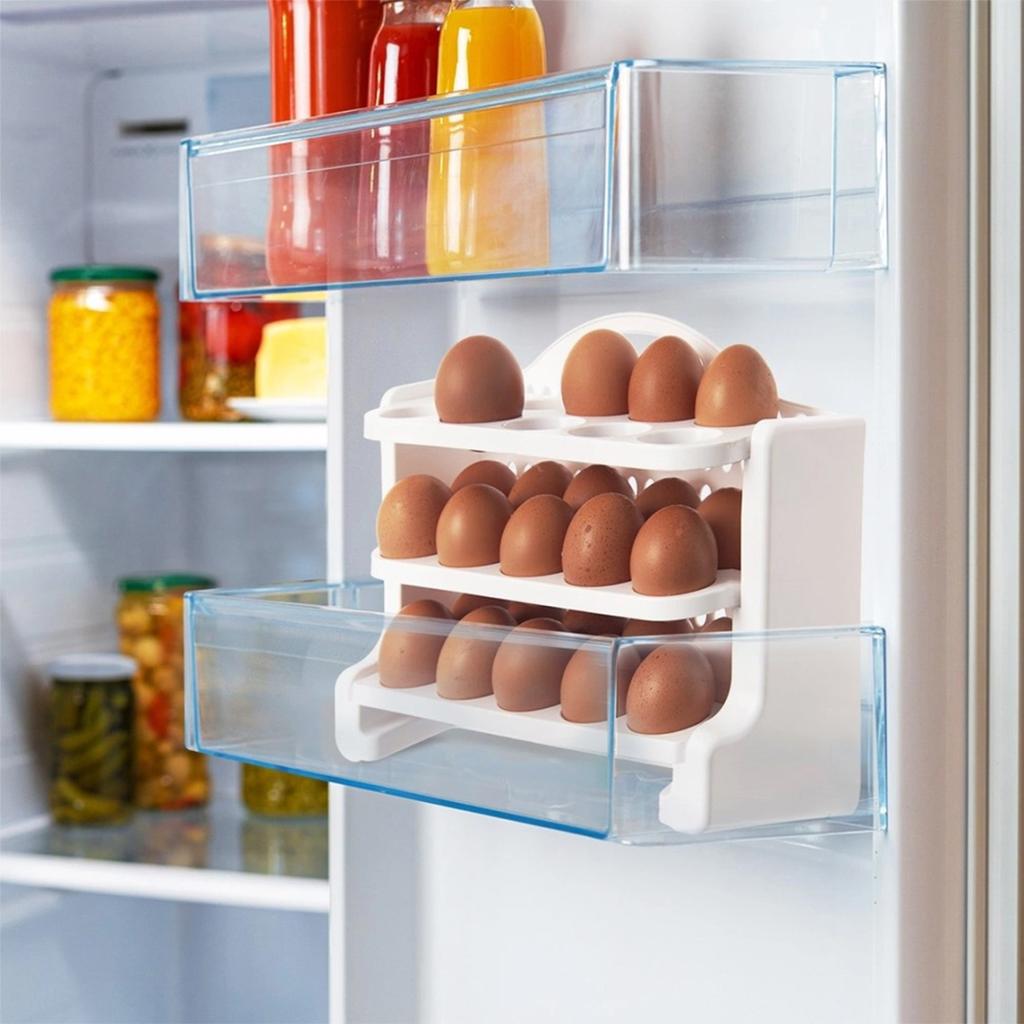 ORGANIZER CONTAINER FOR 30 EGGS 154059