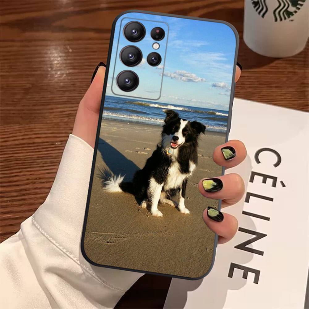

Border Collie Dog Case For Samsung Galaxy Case S25 S23 S22 S21 S30 S20 S10 Ultra Plus FE TPU Soft Cover Samsung S22 5G