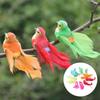 12Pcs Artificial Bird Decor Simulation Bird with Clip Decoration Ornament for Home Garden