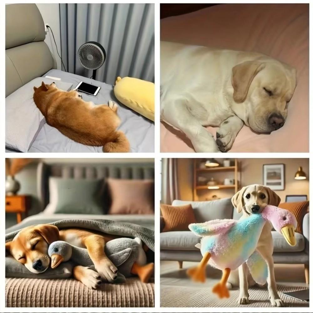 50cm Cute Energy Release Duck Dogs Goose Dolls Colorful Pet Companion Soft Portable Cats