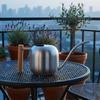 Stainless Steel Watering Can Modern with Wooden Handle Silver Vessel for Plant Lovers,