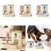2 In 1 Automatic Cat Feeder and Water Dispenser, Feeding Food Bowl Pet Waterer, for