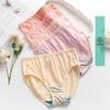 AB Women's 4-Pack Natural Waist Cotton Antibacterial Underwear
