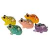 Decorațiuni pentru casă – Terarii decorative