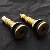 Tr618A 1-7/8" Tractor Air Liquid Tubeless Tire Brass Valve Stem