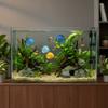 Adjustable Temperature Turtle Tank Heater Constant Thermostat Fish Tank Heating Rod  Water Tanks