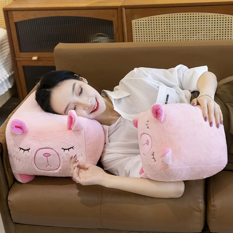 New Square Capybara Plush Toy Creative Kapibara Doll Throw Pillow Sofa Ornament Grab Machine Doll