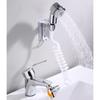 Bathroom Faucet Pull-out Hot and Cold Water Shower Head for Washing Hands and Face Basin Extension