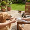 Safety Pet Electric Clipper USB Rechargeable Dog Nail Grinder Cat Nail Clippers  Dog Care