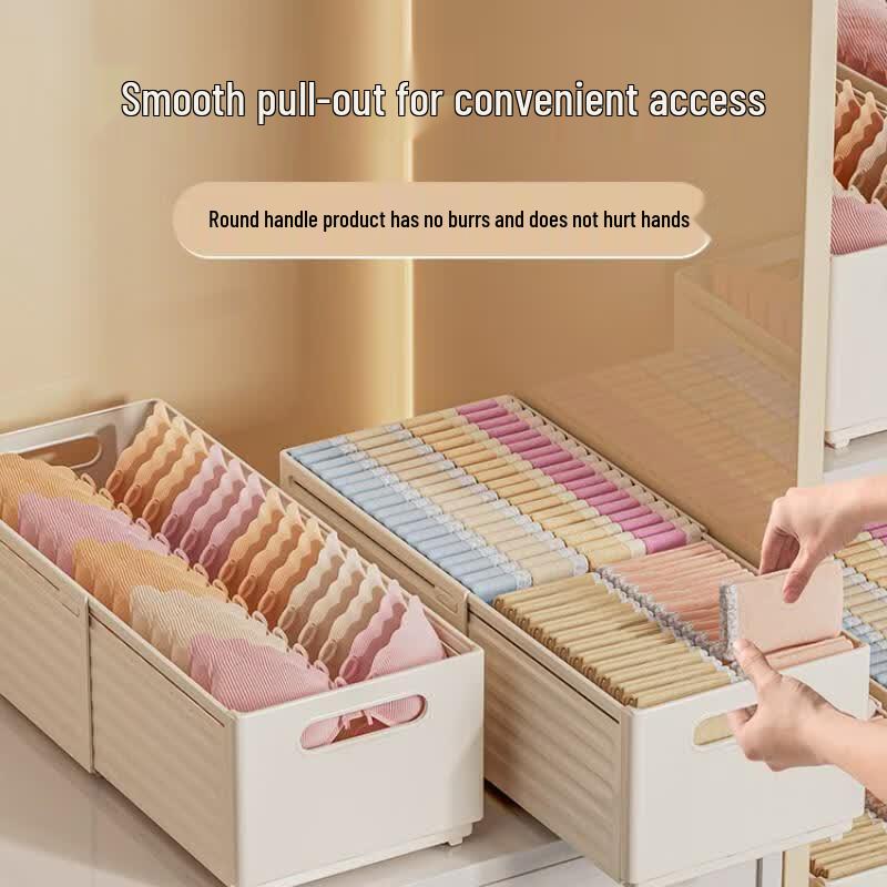 Expandable Wardrobe Organizer Box