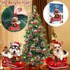 Christmas Dog Advent Calendar 24 Dog Themed Christmas Ornaments Holiday Countdown Calendar Dogs Wearing Red Shoes Perfect For Pet Lovers, Pet Owners