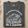 Be A Jimothy Raccoon Shirt, In A World Full Of Trash Pandas Tee, Vintage Comfort Colors, Funny Meme Top, Animal Lover Gift