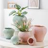 European Style Ceramic Strawberry Vase Colorful Potted Ornaments Living Room Dining Table Hydroponic Flower Ware Strawberry Vase