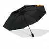 Flowers Florals Themed Folding Umbrella Fashion Auto-Open 8 Iron Ribs Plastic Handle Foldable Sunshade Perfect Christmas Gifts