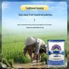 Taijinxiang Jasmine Fragrant Rice 5KG