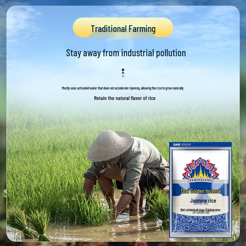 Taijinxiang Jasmine Fragrant Rice 5KG