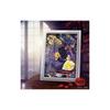 Tenyo (Tenyo) [Made in Japan] 500-Piece Stained Art Gyutto Series Jigsaw Puzzle Disney Beauty and the Beast: Two Hearts (25x36cm) DSG-500-638 Includes