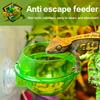 Arboreal Reptile Live Anti-Escape Sucker Feeder Bowl Insect Worm Food Container For Lizard Gecko Chameleon Reptile Pet Bowl