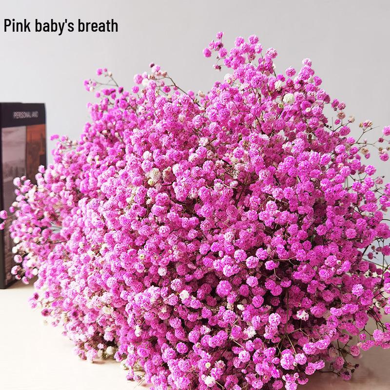 Baby's Breath Dried Flower Bouquet for Living Room Decor - Real Fresh Cut Flowers, Perfect for Gifting and Decorative Ornaments.
