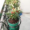 Balcony Railing Hanging Flower Pot Holder