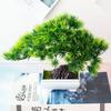 Artificial Plastic Plants Bonsai Small Tree Pot Fake Plant Potted Flower Garden Arrangement Ornaments Room Home Table Decoration