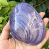 Natural conch shells, seashells, pink seashells, purple clams, fish tank aquarium landscaping, home decorations, photography props, large
