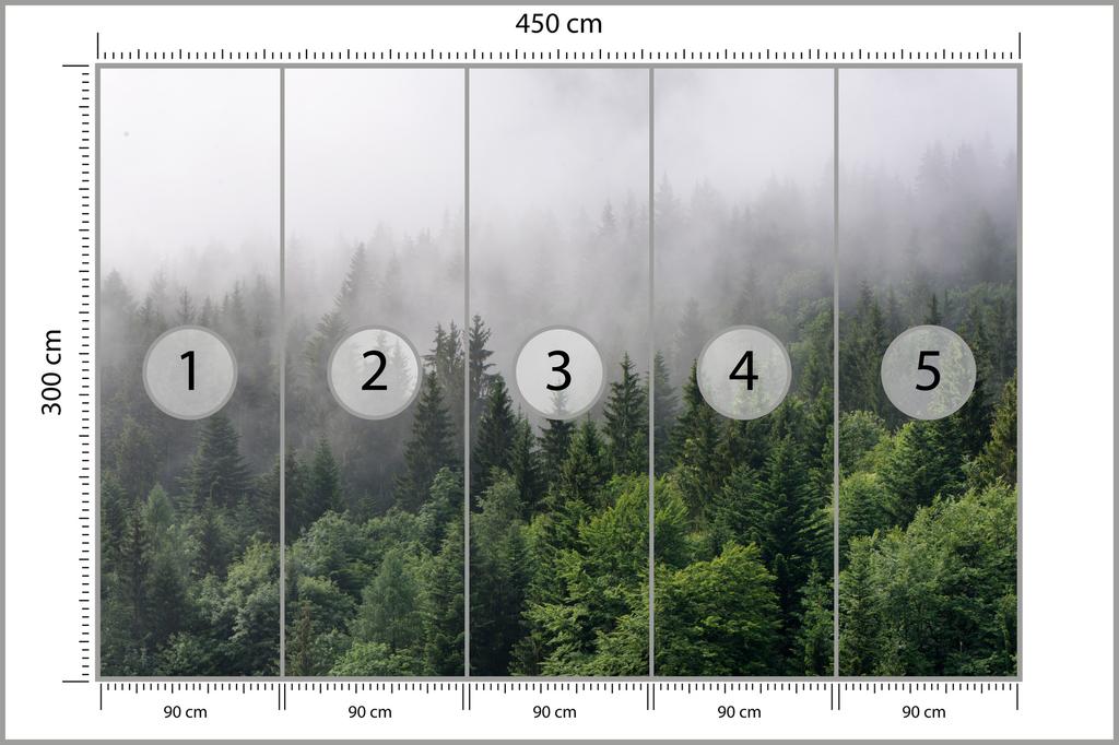 Photomural Trees In The Mist Structural Vinyl 450x300